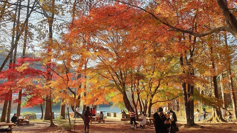 Ảnh Hàn Quốc — Seoul — Nami — Everland 5 ngày 4 đêm