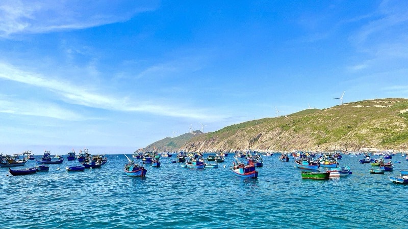 Ảnh Quy Nhơn — Phú Yên — Kỳ Co Eo Gió 4 ngày 3 đêm